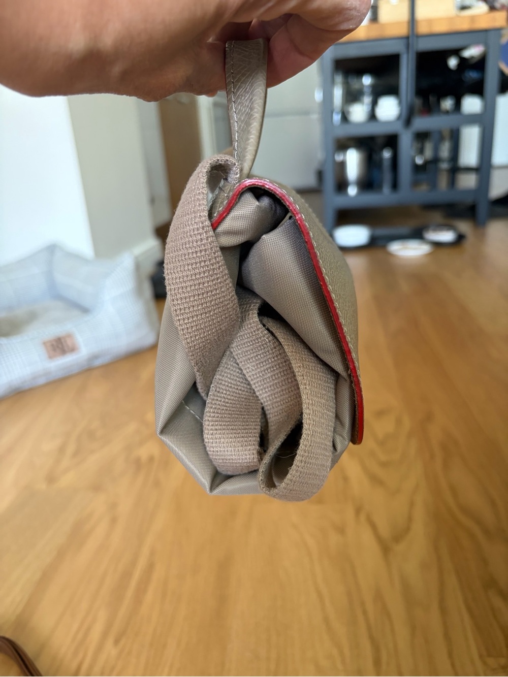 Longchamp Beige Mini Backpack with Red Trim - Picture 2 of 10